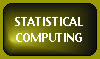 Statistical Computing